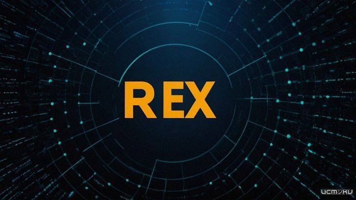 Как обезопасить свои криптоактивы с Rex Exchange