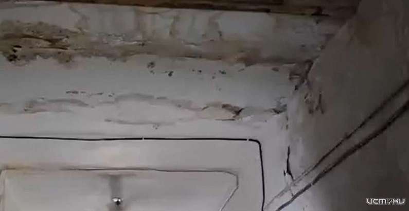 Капремонт в 2036 году, а плесень сейчас - в Орле люди живут в многоэтажке с дырявой крышей