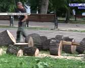 Против лома нет приема. Рабочие, которые выпиливали деревья в городском парке, пообещали доказать это орловчанину, который решил снять процесс их рабо...
