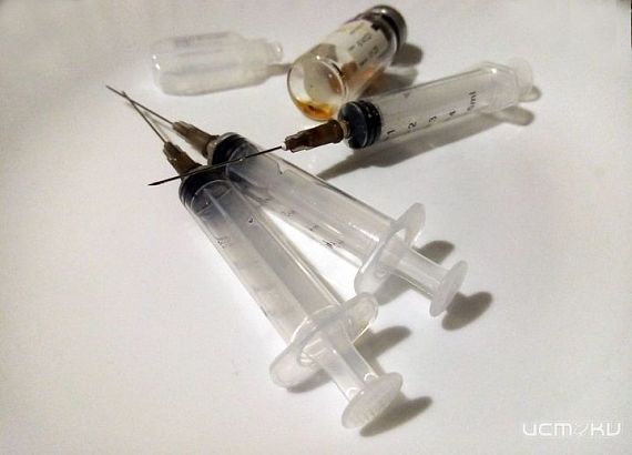 Жителей орловской деревни заставили привить животных от бешенства