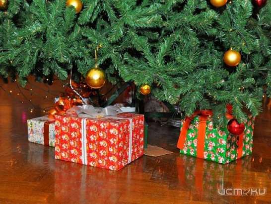 В ОГЦК пройдет муниципальная елка для детей с ограниченными возможностями