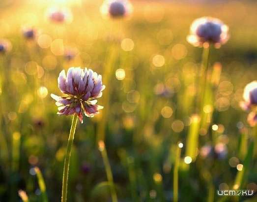 5 сентября будет тёплым и дождливым