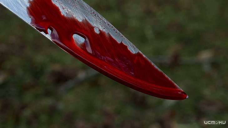 Жителя Орловского района будут судить за убийство