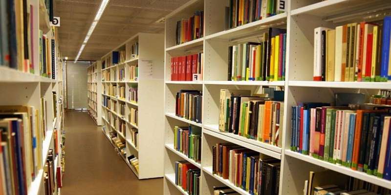 Орловские библиотекари впервые отметили профессиональный праздник онлайн