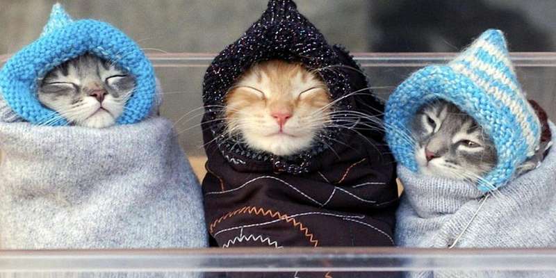 В Орёл вновь пришла холодная погода