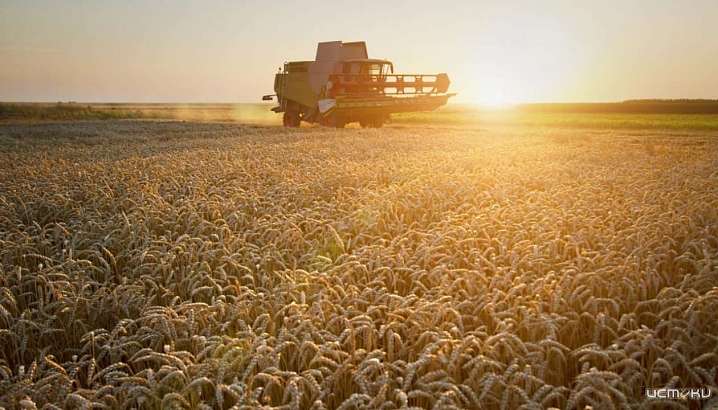 Орловщина в этом году получит почти 2 млрд рублей на развитие АПК