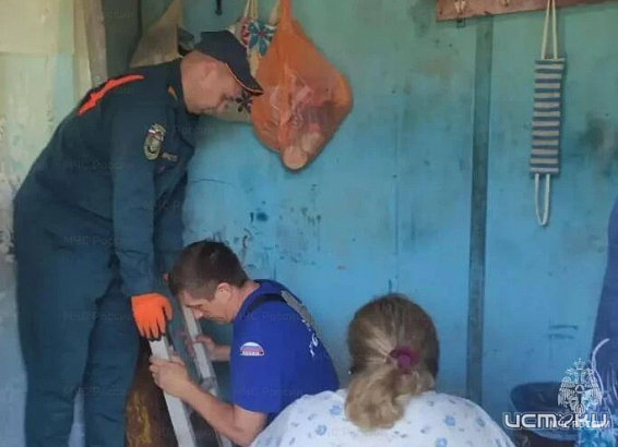 В Ливнах женщина провалилась в подвал