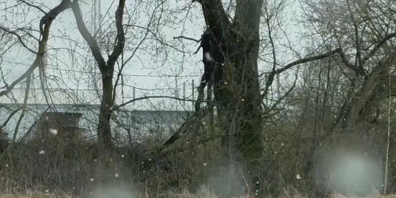 Высаживать рассаду еще рано. Погода в орловском регионе напоминает зимнюю, только без снега