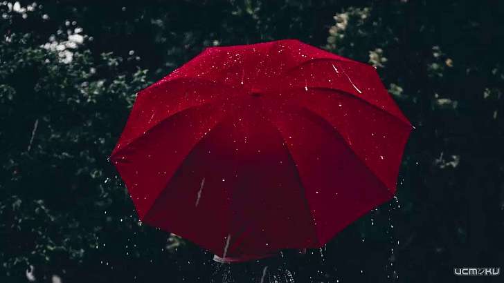 «Дождь по крышам...»: сегодня синоптики советуют орловчанам взять с собой зонты