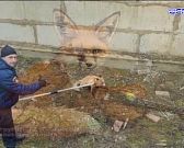 Советник орловского губернатора Сергей Лежнев останется в СИЗО до 24 декабря