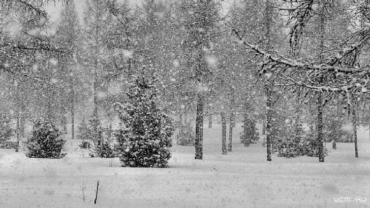 Во власти циклона: сегодня в Орле снова ожидается снег