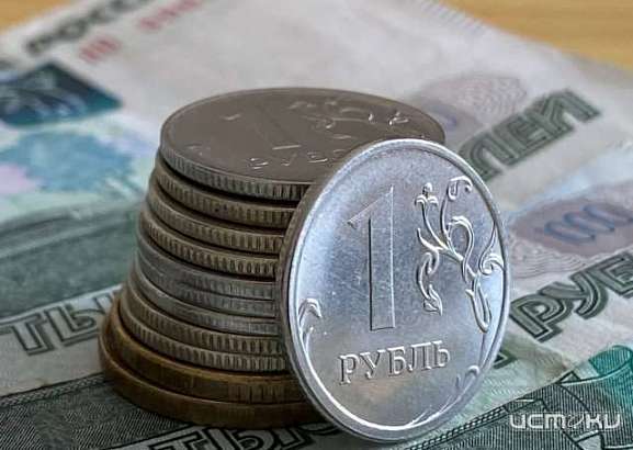 Партия ЛДПР нашла еще одну странную закупку орловских властей