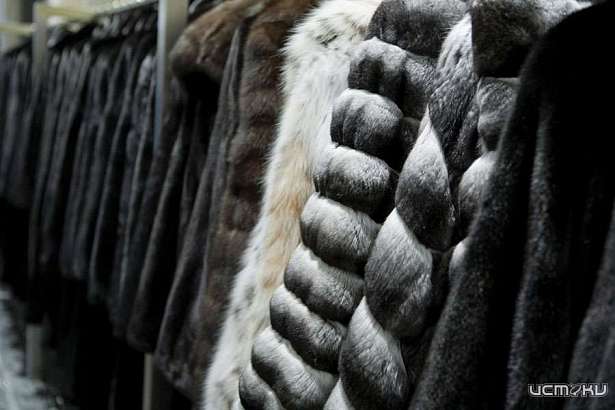 В Орловской области Роспотребнадзор конфисковал нелегальные шубы