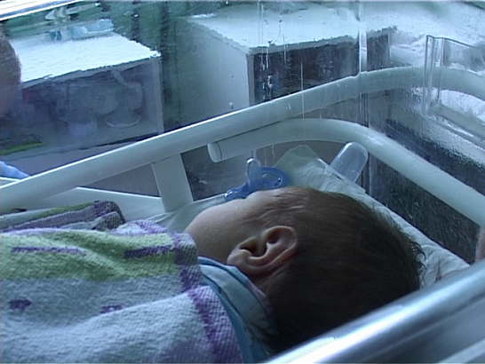 "Мамочка, я люблю тебя!". В Орле проходит масштабная акция 