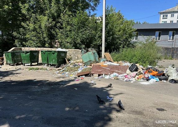 Местные жители жалуются на мусорную площадку по улице Привокзальной