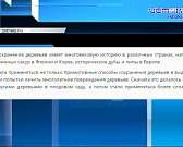 Еще несколько дней назад ему прочили продолжение жизни, но накануне пришла печальная весть. Дуб, посаженный в честь отмены Крепостного права, чиновник...