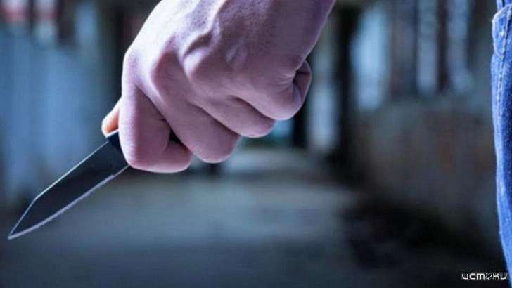 Зарезали ради 38 тысяч: двое орловчан пойдут под суд за расправу над опекуном 