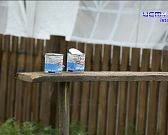 Кульминация Аграрной недели в регионе
