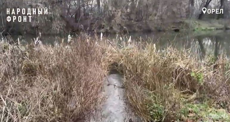 Народный фронт заявил об экологической катастрофе в Орле