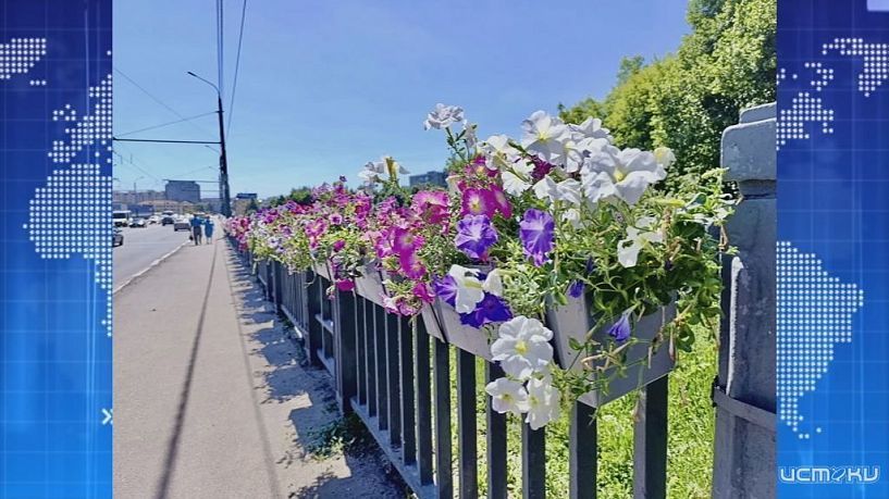 Впервые на Герценском мосту появились цветы. Экспресс - новости.