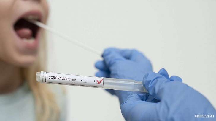 В Орловской области еще 51 человек заразился COVID-19