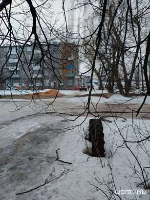 Нашли нового народного корреспондента. За что мы дарим ему пиццу?