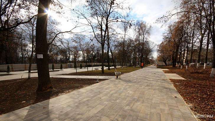 В разгар пандемии арендаторы не рискнули занимать торговые точки в горпарке Орла