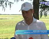 Орловщина-житница России. В регионе завершилась аграрная неделя