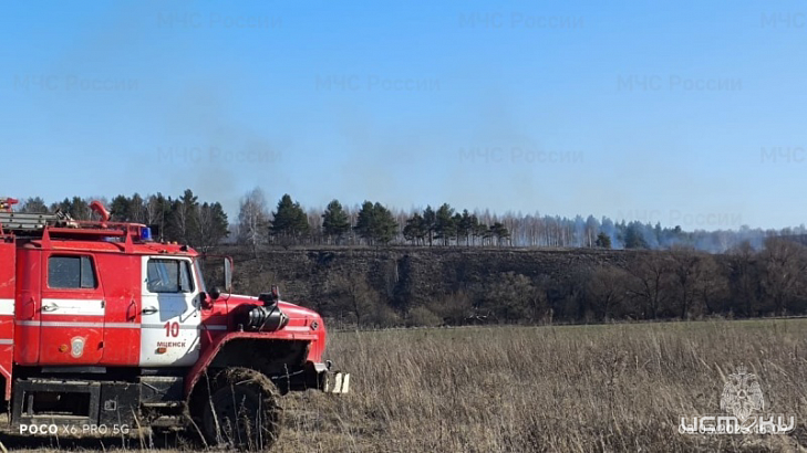 75 пожаров с начала марта в Орловской области 