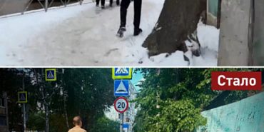 На улице Осипенко в Орле спилили деревья