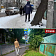 На улице Осипенко в Орле спилили деревья