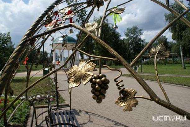 В Орле появится рябиновая аллея