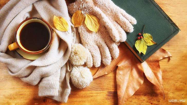 Ноябрьские праздники порадуют потеплением напуганных морозами орловчан