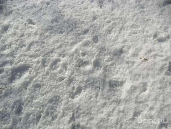 В Орле выпала месячная норма осадков