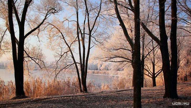 Сегодня в Орле немного потеплеет