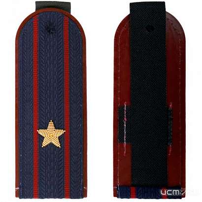 Орловского сотрудника ФСИН повысили до майора за героический поступок