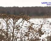 Религию – в массы, а сельское хозяйство подождет: под Орлом незаконно строится храм