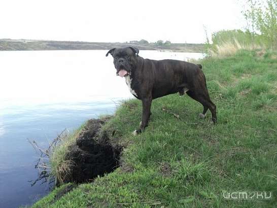 Поделитесь своими самыми любимыми фотографиями с медиахолдингом «Истоки»!