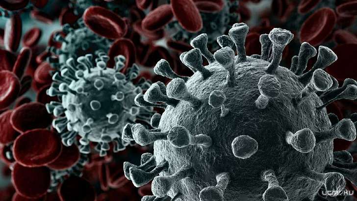 Орловщина прошла пик пандемии коронавируса одной из последних в ЦФО