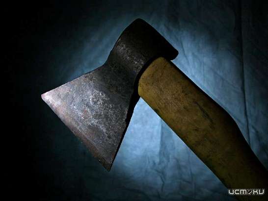 Под Орлом мужчина зарубил племянника топором