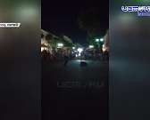 Из-за неработающего лифта в поликлинике №4 пациенты не могут попасть к врачам, бродячие собаки облюбовали детскую площадку в сквере Комсомольцев, а на...