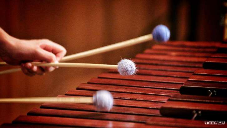 4 ксилофона и 22 духовых инструмента — в орловских музыкальных школах пополнение