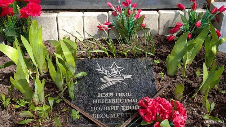 Орловчане по своей инициативе навели порядок на могиле Неизвестного солдата, о которой забыли власти