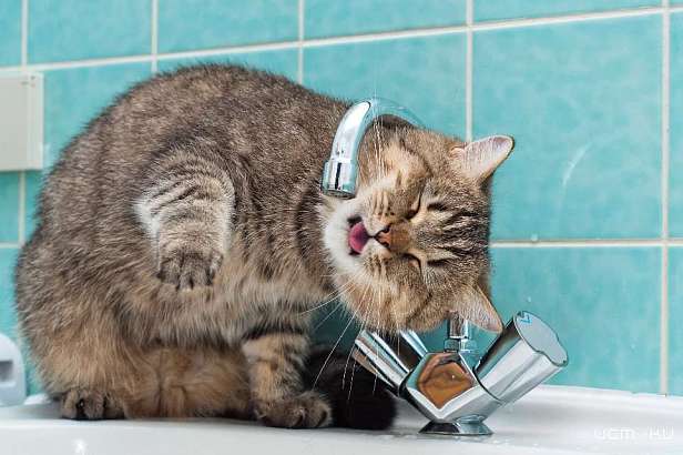 В Орле горячая вода вернется во все квартиры в ближайшие два-три дня