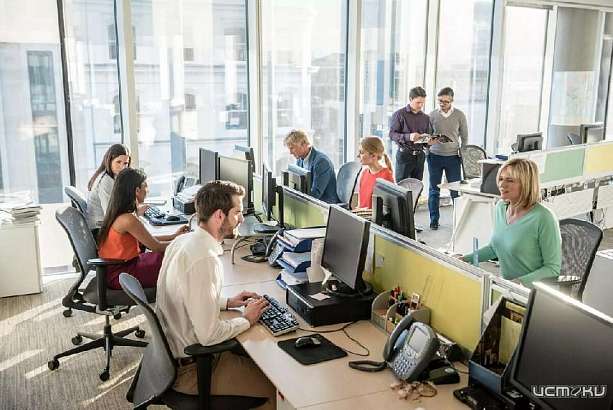 Орелстат рассказал, сколько человек в Орле заняты делом