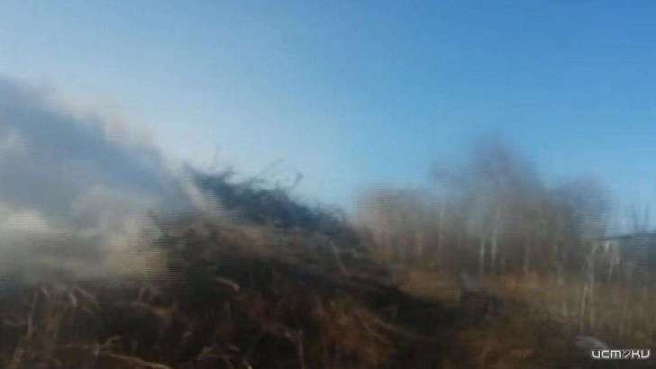 Не вывозят мусор, а сжигают: народный корреспондент рассказал об экологической проблеме