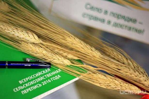 На Орловщине завершилась Всероссийская сельскохозяйственная перепись