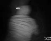 Видео: как проходило задержание браконьеров в заповеднике на Орловщине