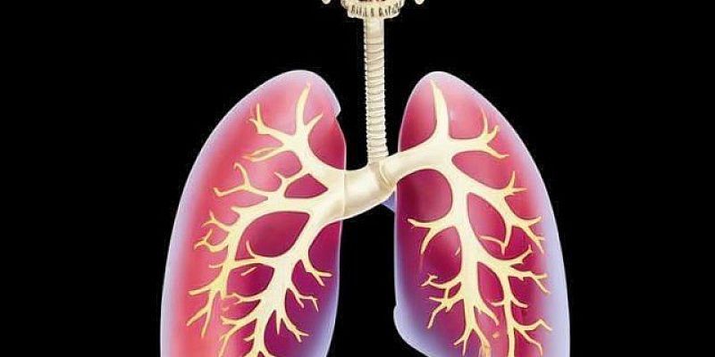 Орловский медик советует жителям региона как бросить курить