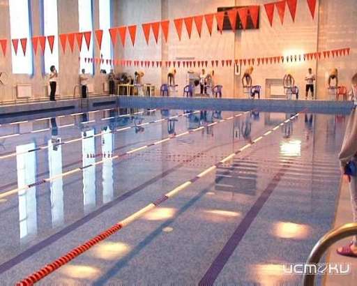 В Орле пройдет мастер-класс чемпиона мира по плаванию Александра Попова